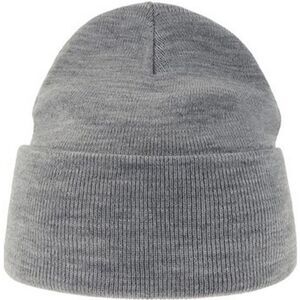 Atlantis Unisex Adult Pure Recycled Beanie / Light Grey